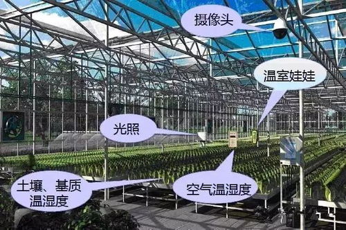 未来杨舍农村的发展方向
