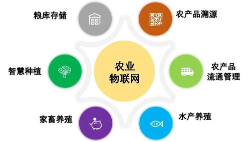 万物皆可的物联网,怎样才能在农业领域绽放光芒