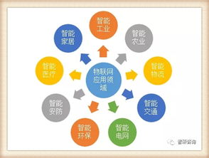 我国物联网产业历程及物联网产品主要细分市场发展概述