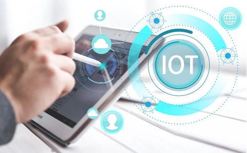 荣耀升级 年轻人生活与中国IoT生态的双赢之道